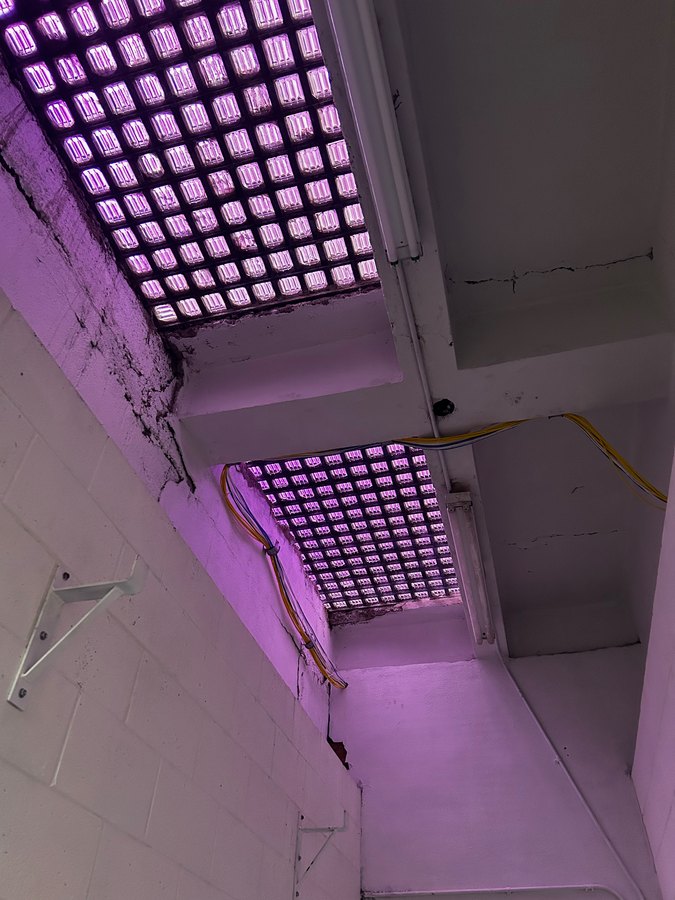 LED panels glowing purple inside the Tabernacle tower during installation